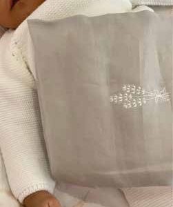 Cojín de semillas anticólico